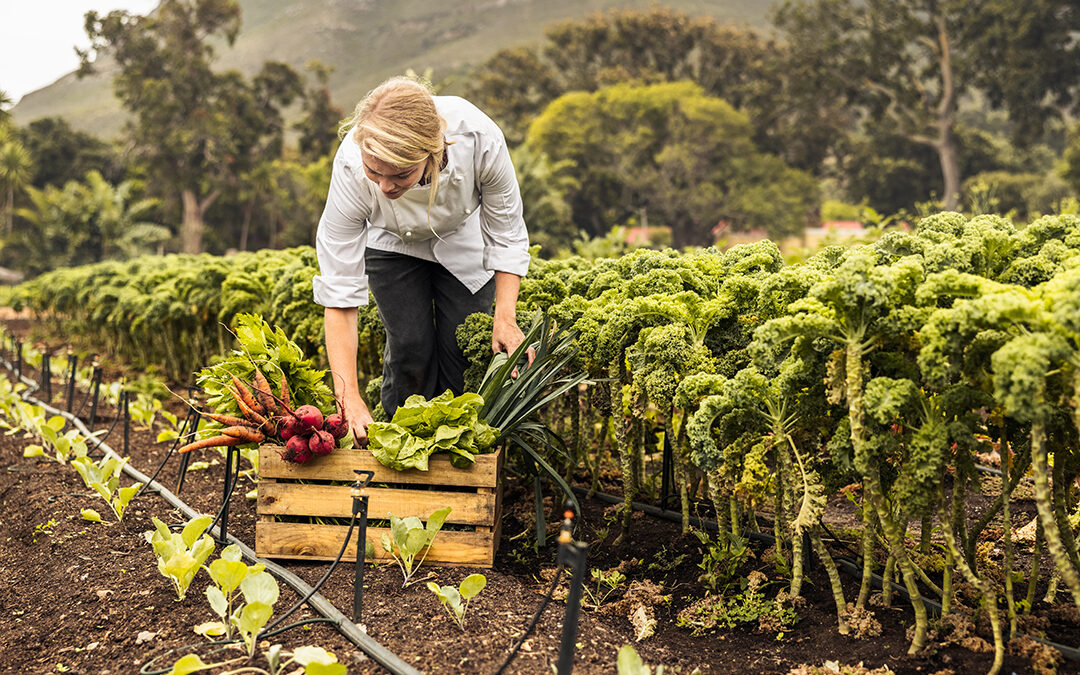 Call-to-Actions in Social Media – wie nachhaltige Marken Menschen ins Handeln bringen